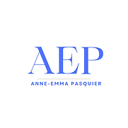 AEP TOP général 2024.png