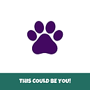 FORE Pets Logo (4).png