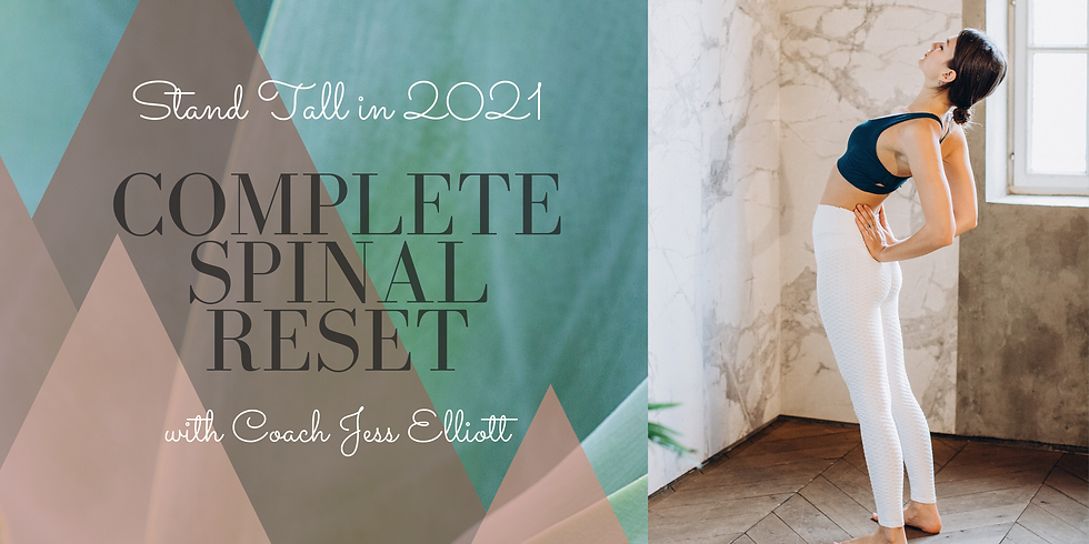 Complete Spinal Reset - $25