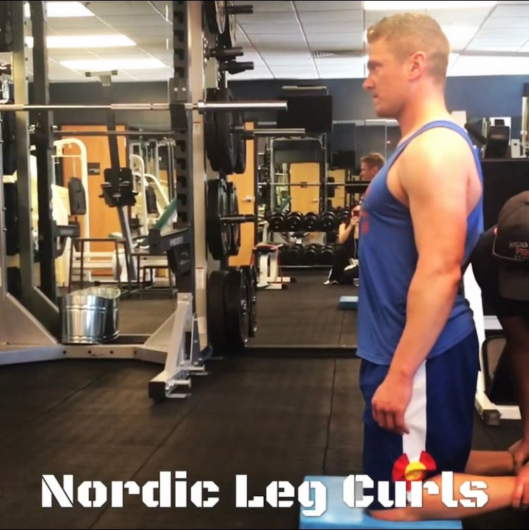 Nordic Leg Curls