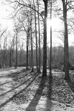 Missouri