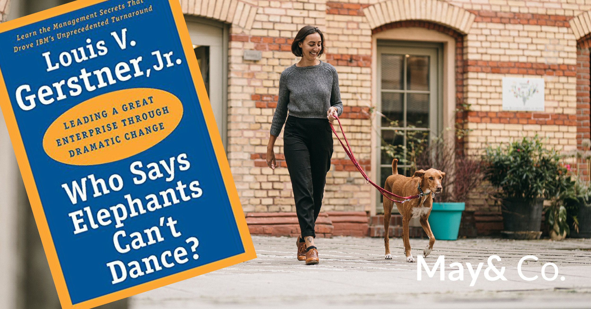 Who Says Elephants Can't Dance May & Company