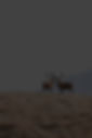 1Z8A1646_edited.jpg