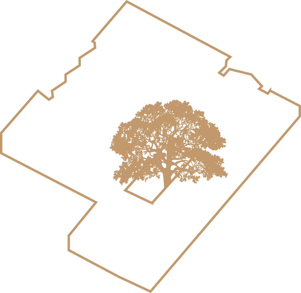 Asset 1ldpi (1) 1.png