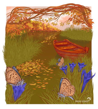 Paysage Automne 2020 bord de rivière et papillons Azuré des Mouillères