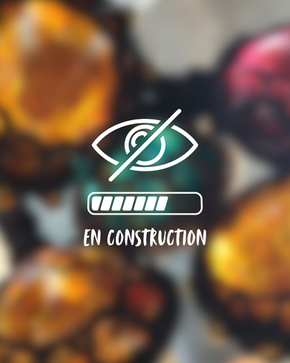 Galerie en construction