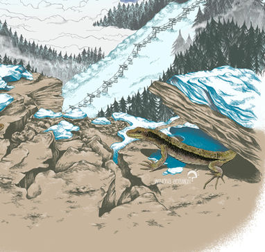 Paysage Hiver 2020 montagne enneigée et lézards détail