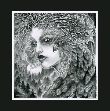 Femme des forêts et oiseau de proie