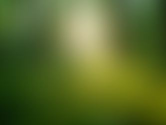 The Importance of Sustainable Living in Today's World