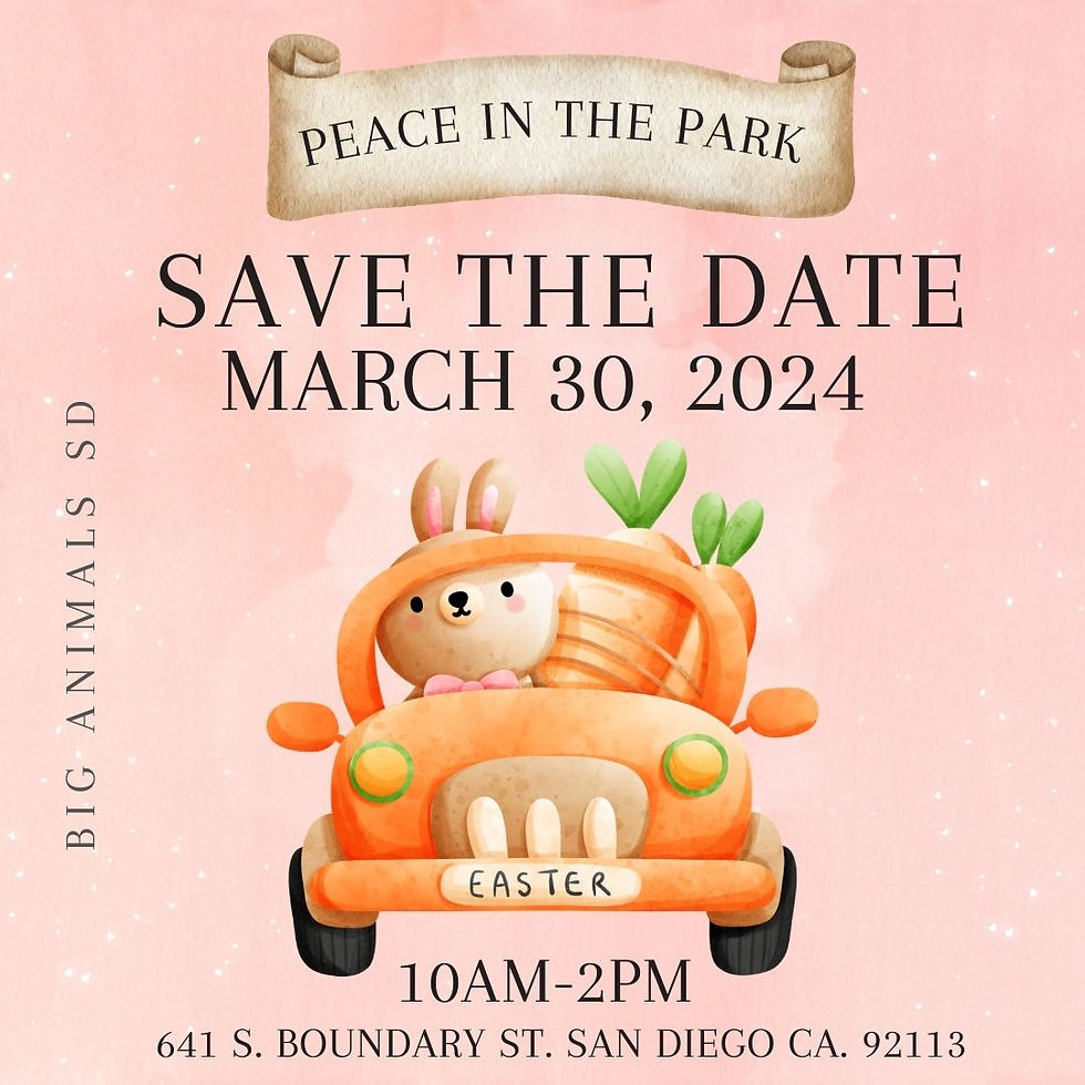 EGG HUNT BASKET GIVEAWAY