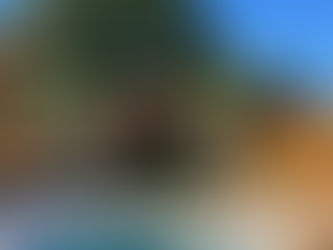 Custom Landscape Design Solutions for Your Outdoor Space