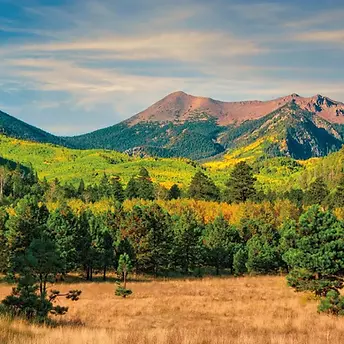 Coconino.webp