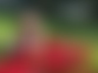 Sarah Ritchie planning the logistics for the ‘Held in Remembrance’ felted poppy installation