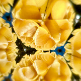 Kaleidoscope Vision photography by Sarah Ritchie #34: Shell Pasta 