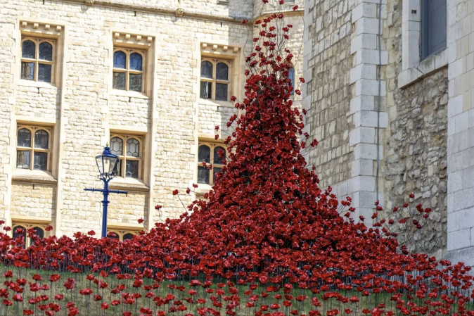 An example of a poppy art installation - and example of what we can achieve with our felted poppies.
