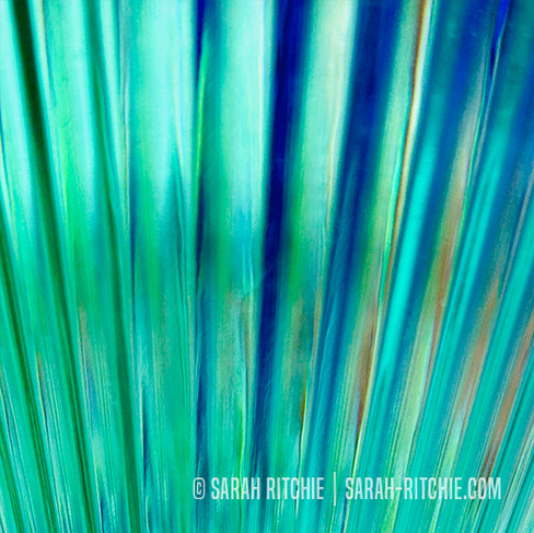 Art of the Ordinary photo series by Sarah Ritchie: Plastic Party Glasses