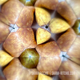 Kaleidoscope Vision photography by Sarah Ritchie #30: Pears