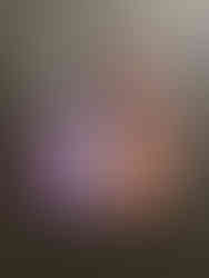 ‘Dream Garden’ by Molly Timmins at Aotearoa Art Fair