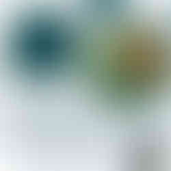 Meet Sarah Ritchie at the Wool Revolution Studio Wool and Fibre Sale, December 2024