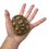 Miniatura: sulcata tortoise size