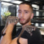 Sugar glider care guide