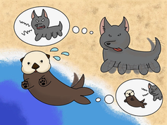 Gray Wolves are Hunting Sea Otters and No One Knows How