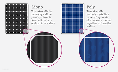 mono-poly.webp