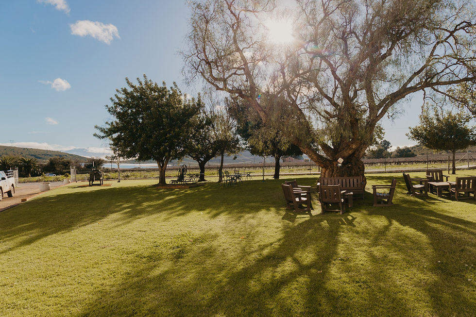 Thumbnail: MCGREGOR WINERY