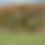 Thumbnail: FOSSIL HILLS