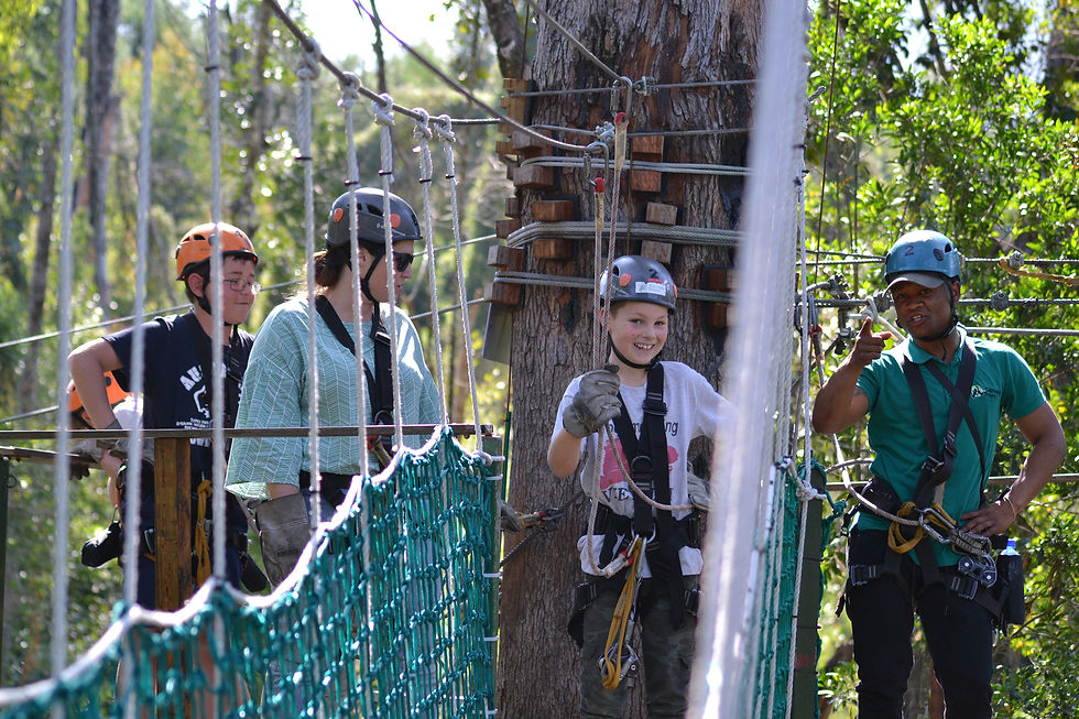 Thumbnail: TSITSIKAMMA CANOPY TOUR