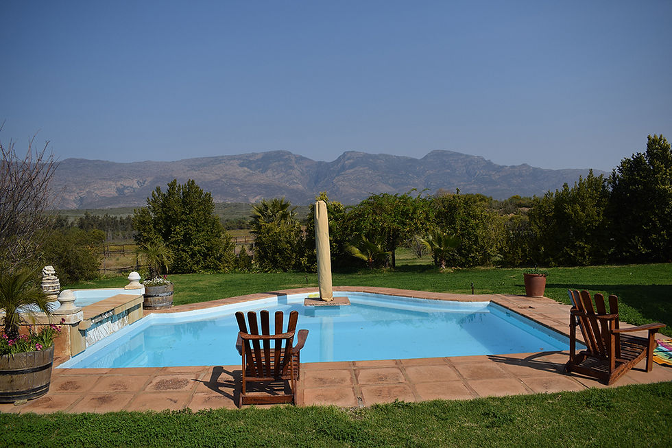 Thumbnail: SCOTSFONTEIN ESTATE