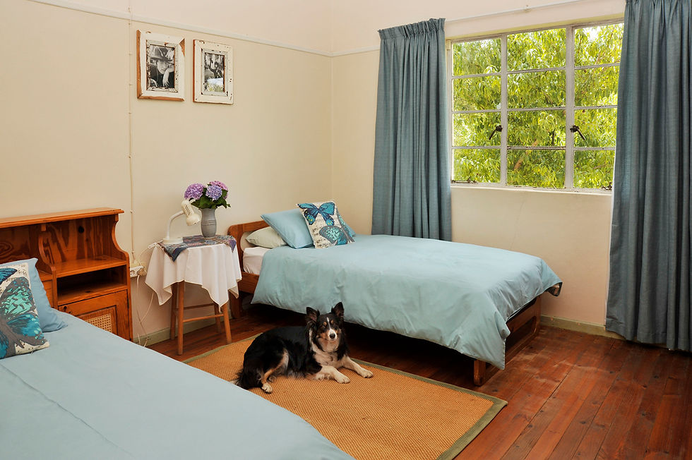 Thumbnail: ASSEGAI HOUSE