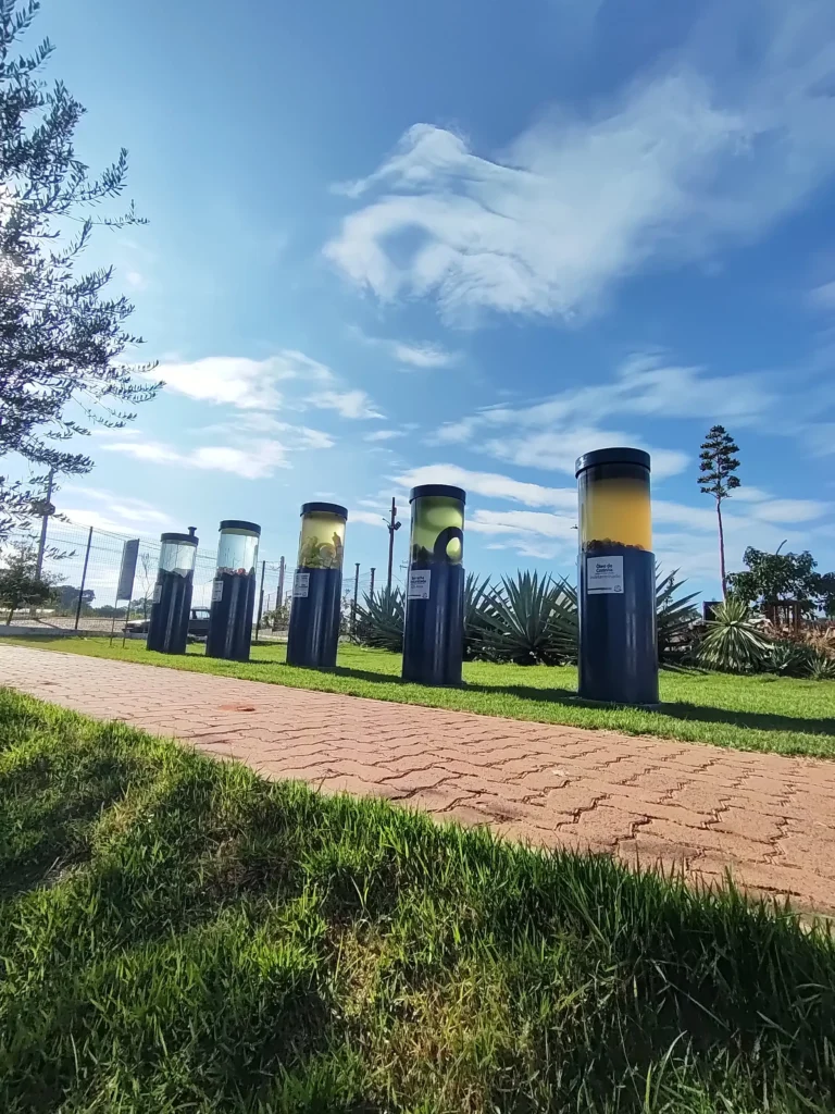 conscientização ambiental