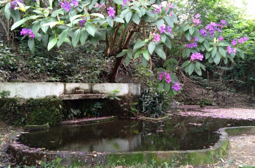 Sustentabilidade hídrica