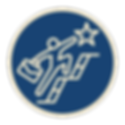 pd icon.png
