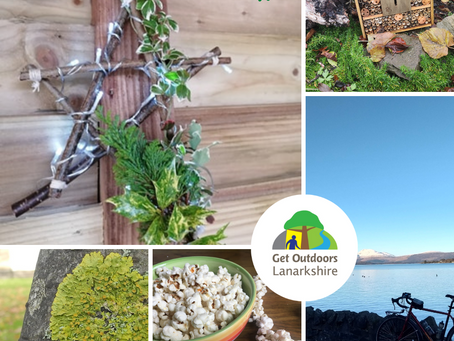 Winter Project - our press release