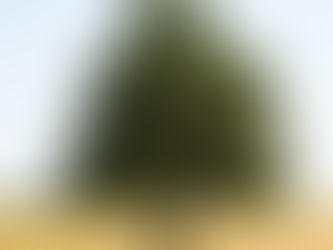 Você ajuda pessoas profissionalmente?