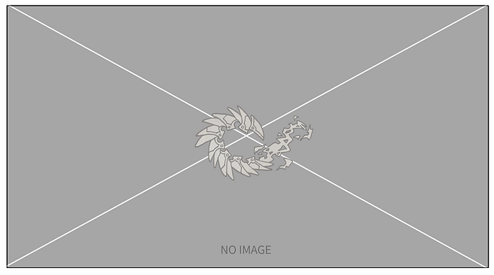 No image01.png