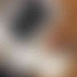 Marcel Proust Kayıtsız Adam