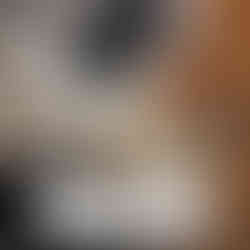 Marcel Proust Kayıtsız Adam