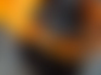 Biochar and Compost: A Powerful Duo to Boost Your Crop Productivity