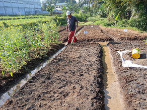 Bedengan Tanaman: Teknik Mempersiapkan Lahan Pertanian