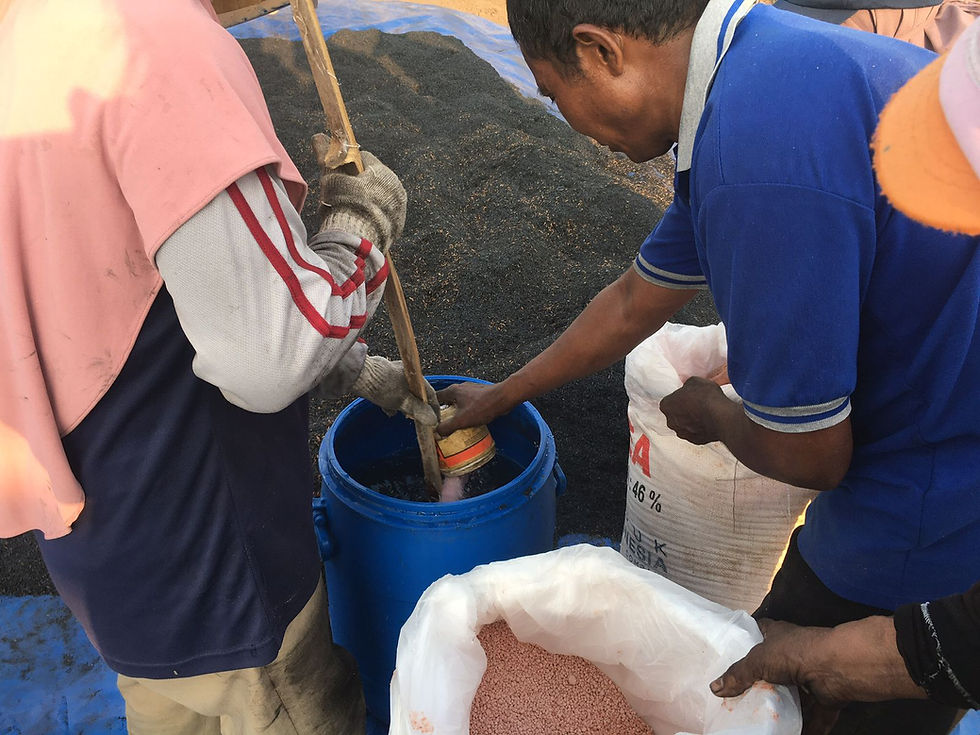 Two farmers charging biochar with fertilizer