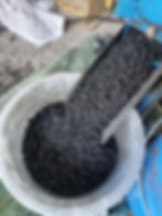 Biochar dapat digunakan untuk memperbaiki daun tanaman yang berwarna kuning