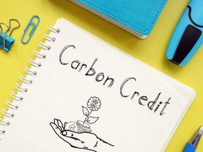 Kupas Tuntas Kredit Karbon: Pengertian, Fungsi, dan Cara Jual Belinya