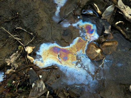 8 Methods to Control Soil Pollution