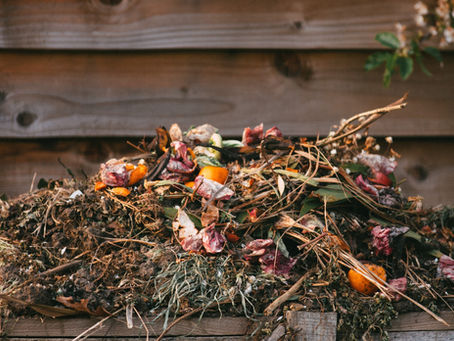 6 Methods on How to Dispose of Farm Waste for Efficient Waste Management