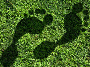 Jejak Karbon: Memahami Dampak Aktivitas Manusia Terhadap Bumi