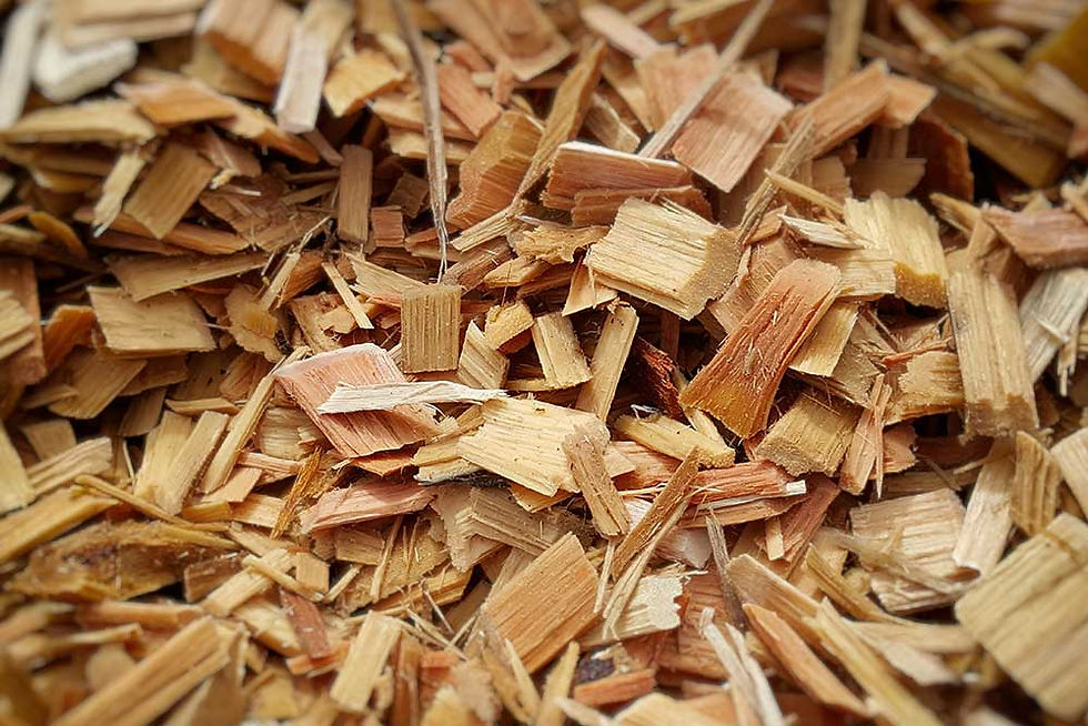 Woodchips, one of the common types of biochar feedstock