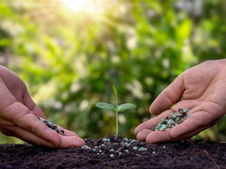 4 Methods to Reduce Fertilizer Use: Sustainable Strategies for Agricultural Practices